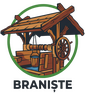 Braniște