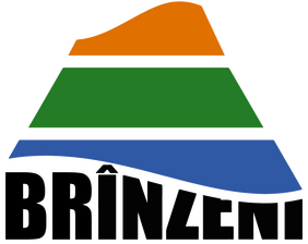 Brînzeni