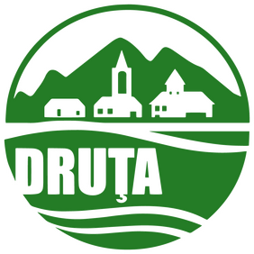 Druța
