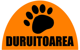Duruitoarea Veche