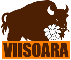 Viișoara
