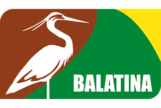 Balatina
