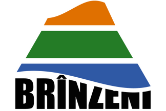 Brînzeni