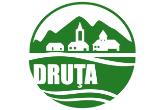 Druța
