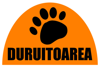 Duruitoarea Veche
