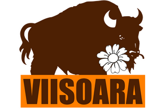 Viișoara