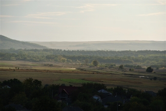 Балатина