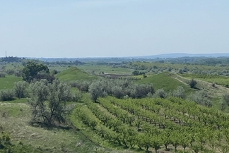 Кобань