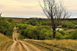Mihăileni