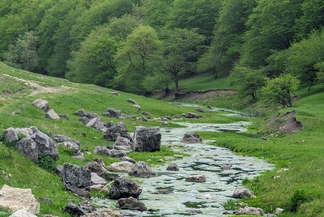 Gordinesti