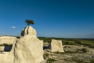 Fetești