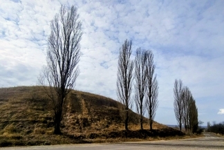Braniște