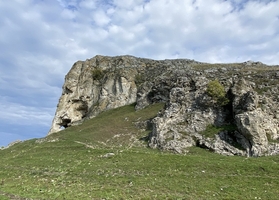 gal5