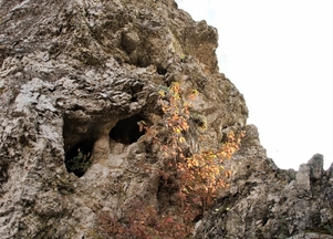 galFoto1