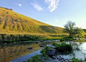 galFoto1