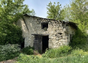galFoto1