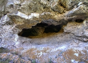 galFoto1