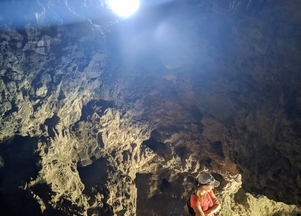 galFoto1