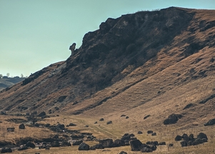 galFoto1