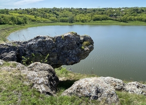 galFoto1