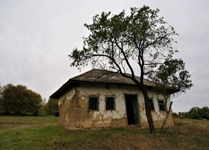 galFoto1