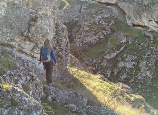 img12