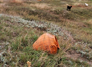img12