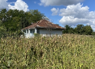 img12