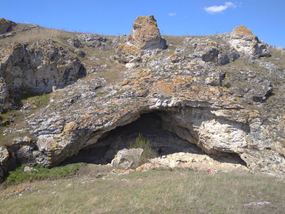 Căsoaia