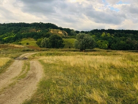 The Wind's Hollow
