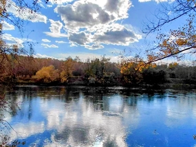 Natural Beach on the Prut river