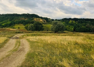 Borta Vântului Borta Vântului