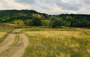 Borta Vântului